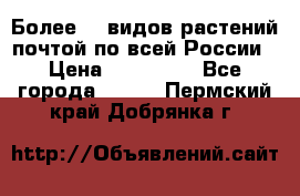 Более200 видов растений почтой по всей России › Цена ­ 100-500 - Все города  »    . Пермский край,Добрянка г.